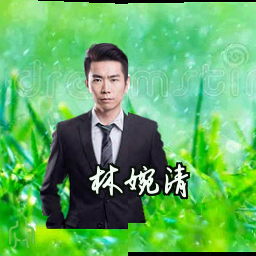 林婉清